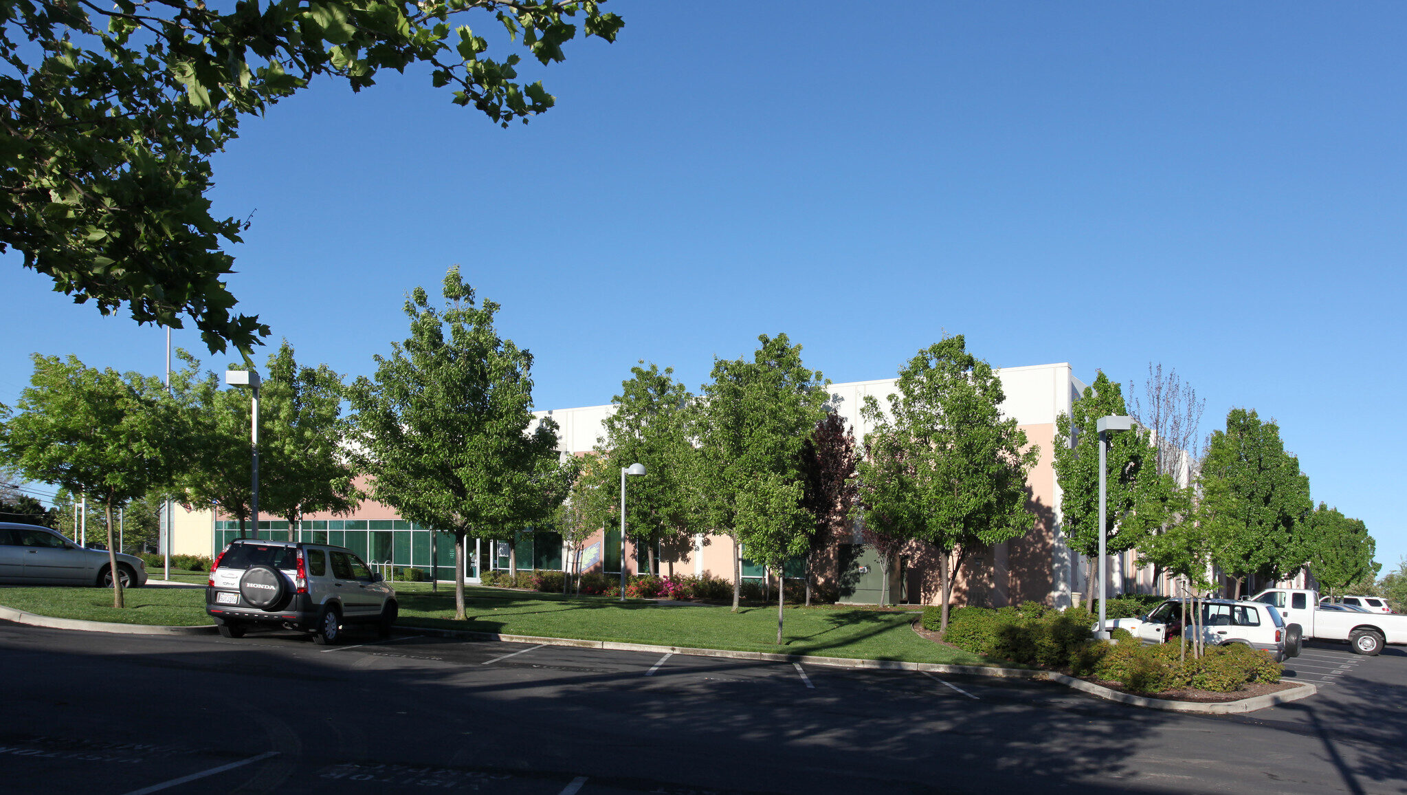 image-5-e1595273977681