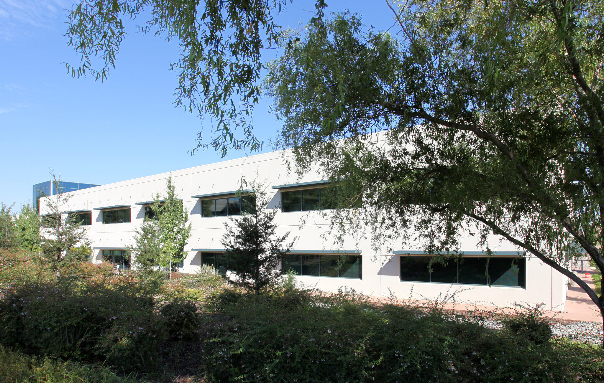 image-7-e1595275024554